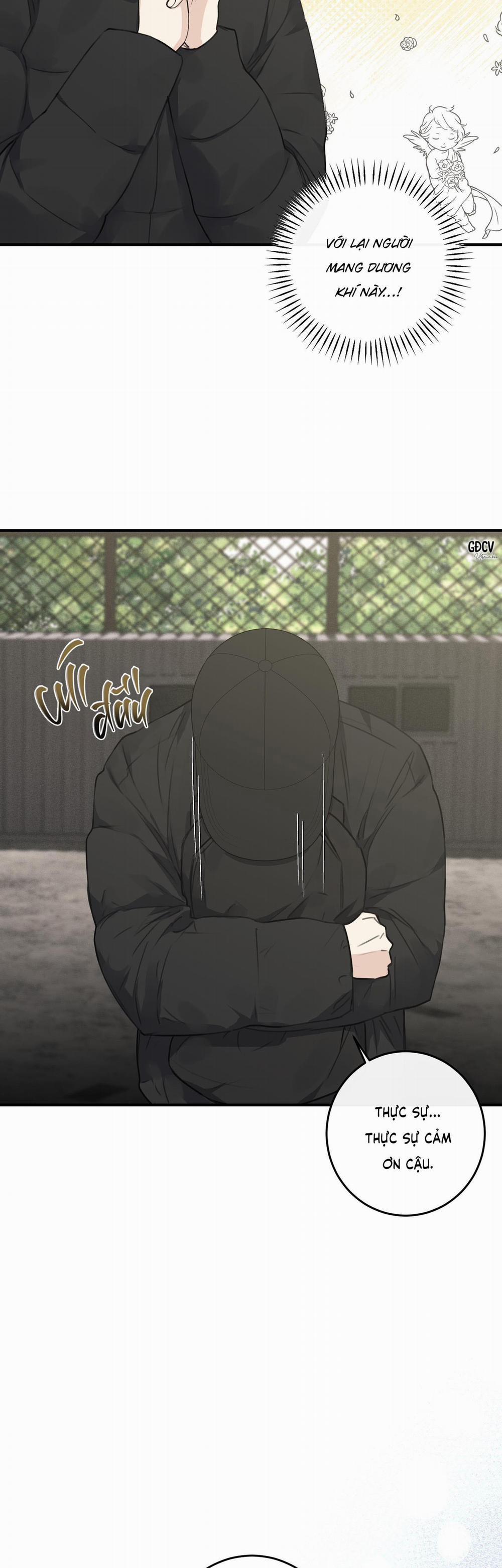 QUAN HỆ CỘNG SINH CỦA MẶT TRĂNG VÀ MẶT TRỜI 9 trang 5