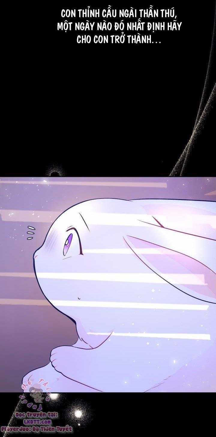 Quan Hệ Cộng Sinh Giữa Hắc Báo Và Bạch Thỏ 1 trang 10