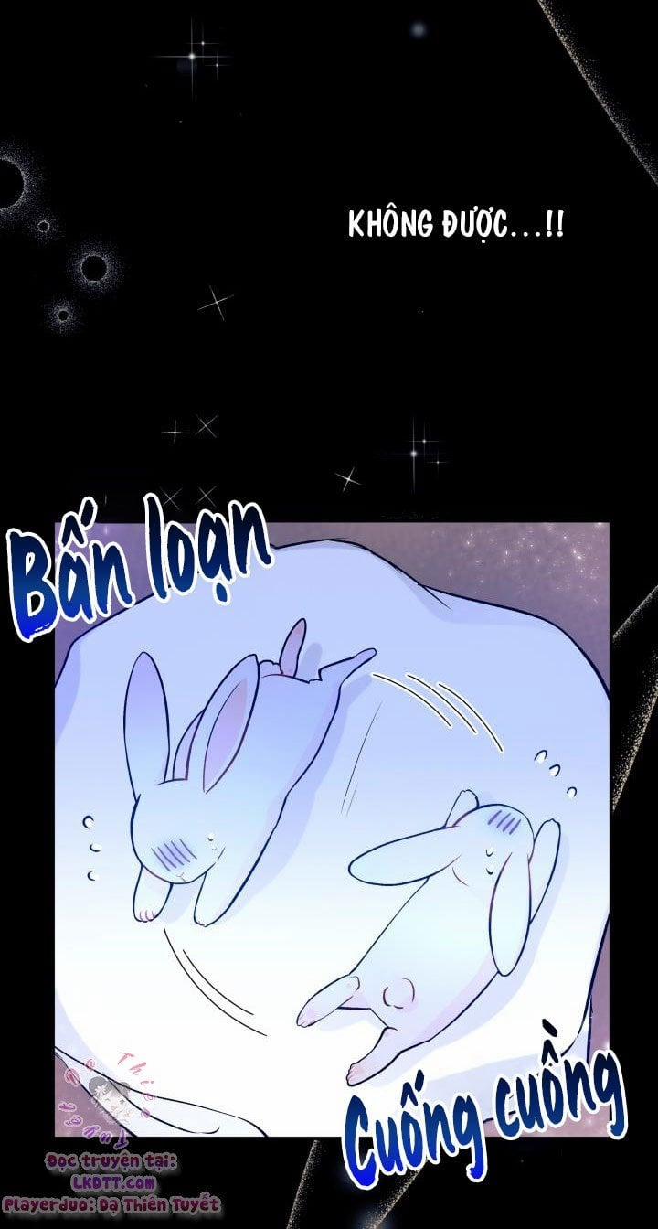 Quan Hệ Cộng Sinh Giữa Hắc Báo Và Bạch Thỏ 1 trang 19