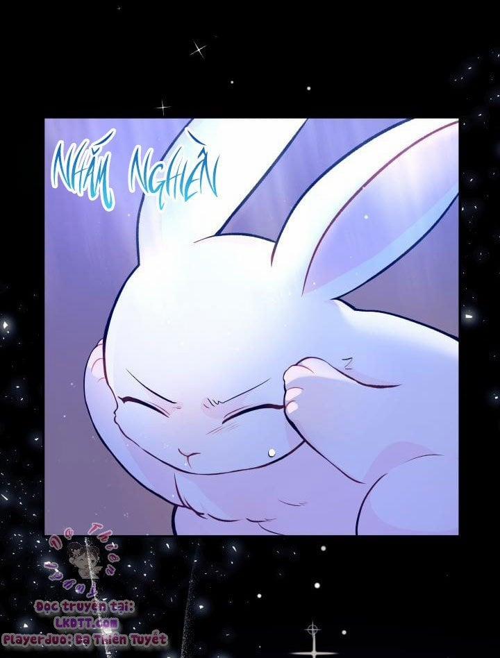 Quan Hệ Cộng Sinh Giữa Hắc Báo Và Bạch Thỏ 1 trang 27