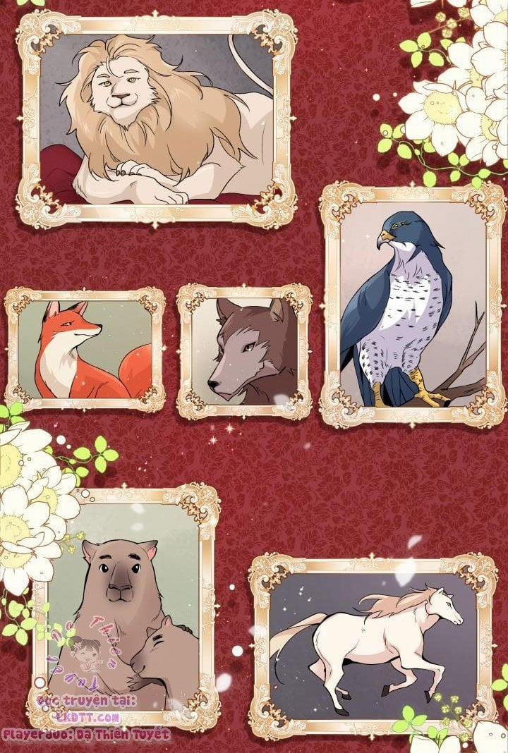 Quan Hệ Cộng Sinh Giữa Hắc Báo Và Bạch Thỏ 1 trang 45