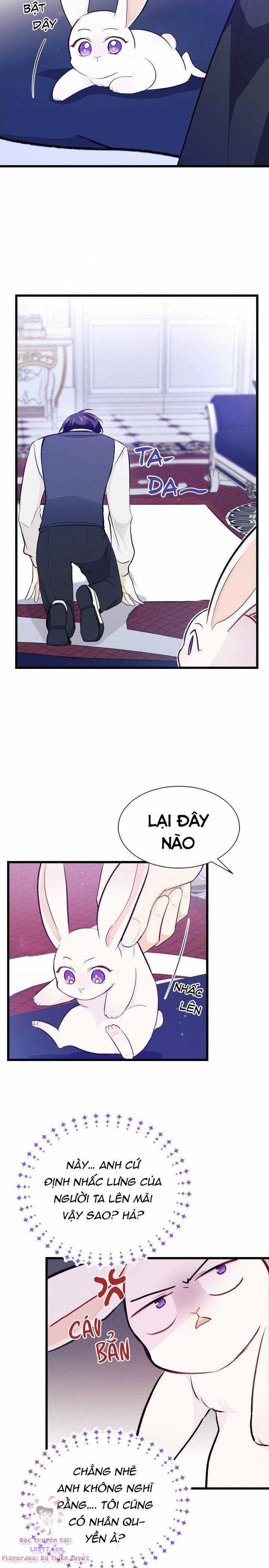 Quan Hệ Cộng Sinh Giữa Hắc Báo Và Bạch Thỏ 10 trang 13