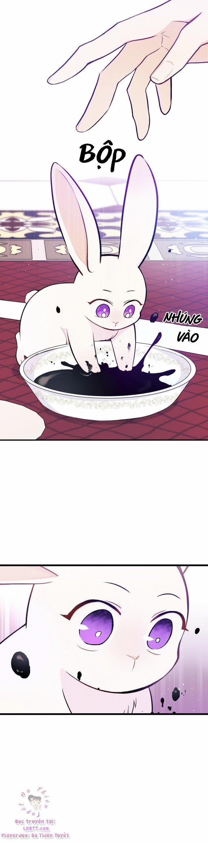 Quan Hệ Cộng Sinh Giữa Hắc Báo Và Bạch Thỏ 10 trang 16