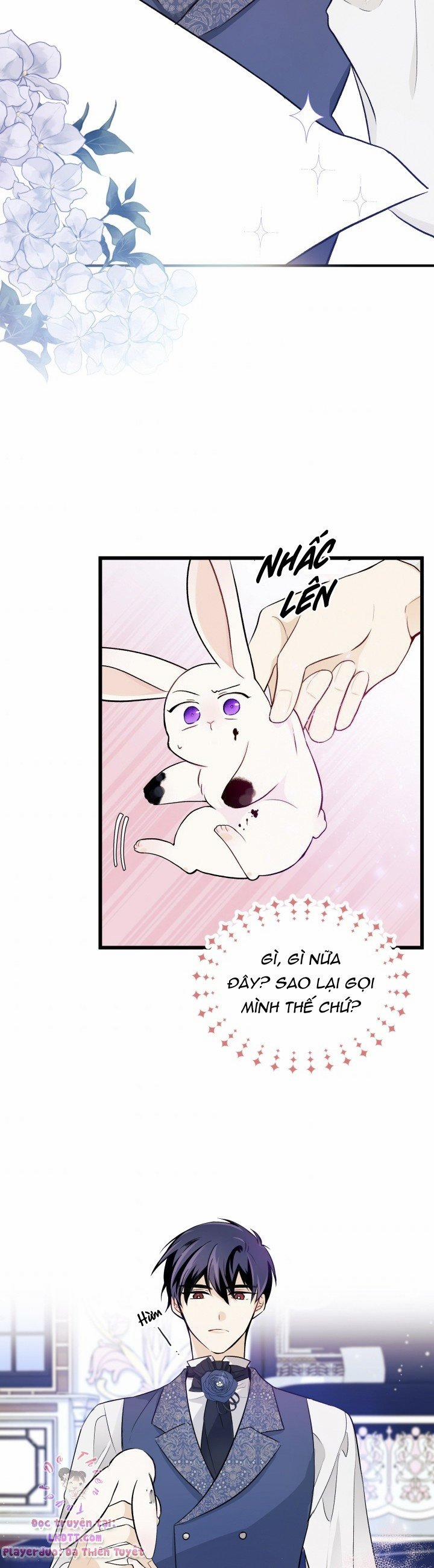 Quan Hệ Cộng Sinh Giữa Hắc Báo Và Bạch Thỏ 10 trang 23