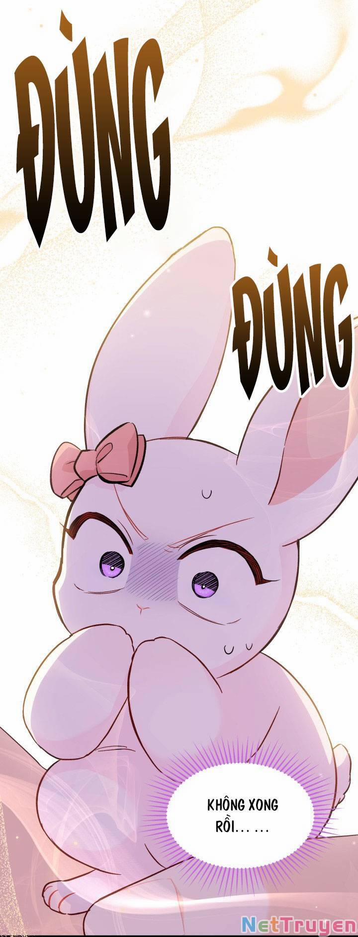 Quan Hệ Cộng Sinh Giữa Hắc Báo Và Bạch Thỏ 101 trang 1