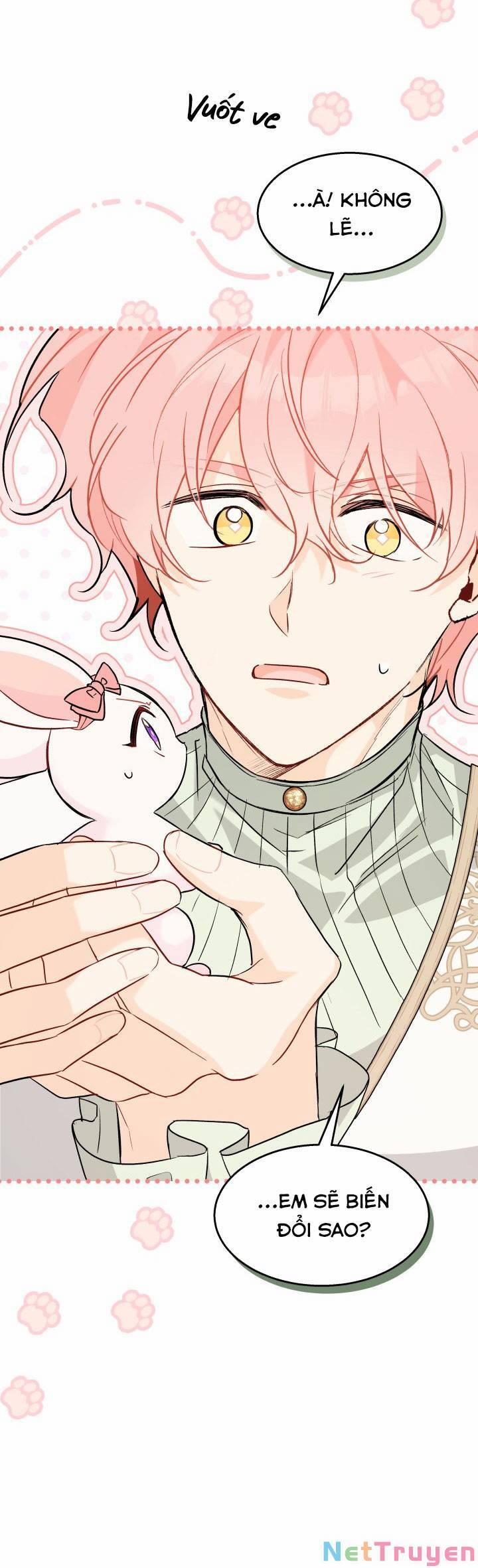 Quan Hệ Cộng Sinh Giữa Hắc Báo Và Bạch Thỏ 101 trang 17