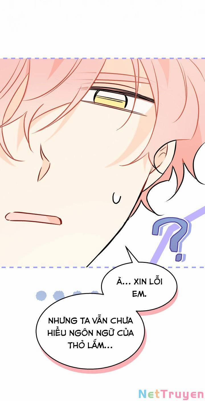 Quan Hệ Cộng Sinh Giữa Hắc Báo Và Bạch Thỏ 101 trang 21