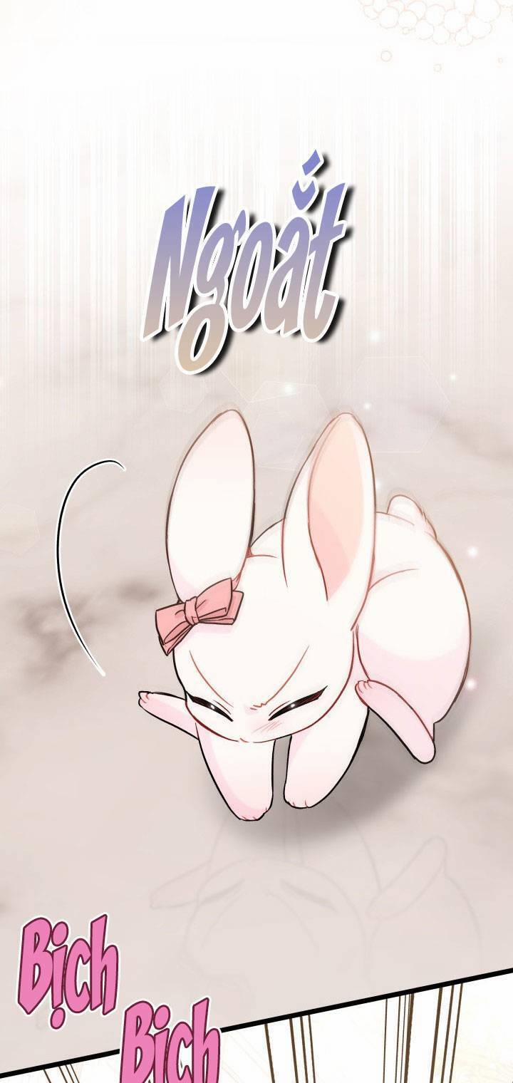 Quan Hệ Cộng Sinh Giữa Hắc Báo Và Bạch Thỏ 101 trang 31