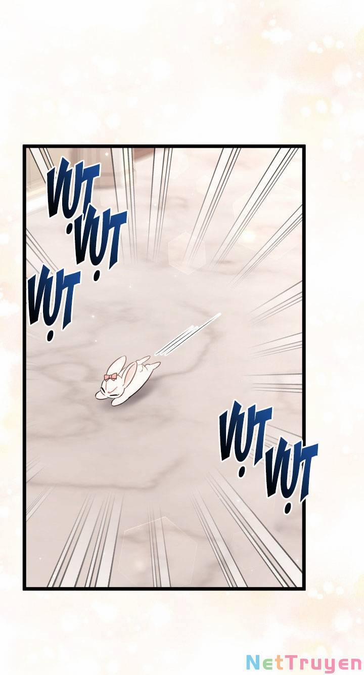 Quan Hệ Cộng Sinh Giữa Hắc Báo Và Bạch Thỏ 101 trang 35