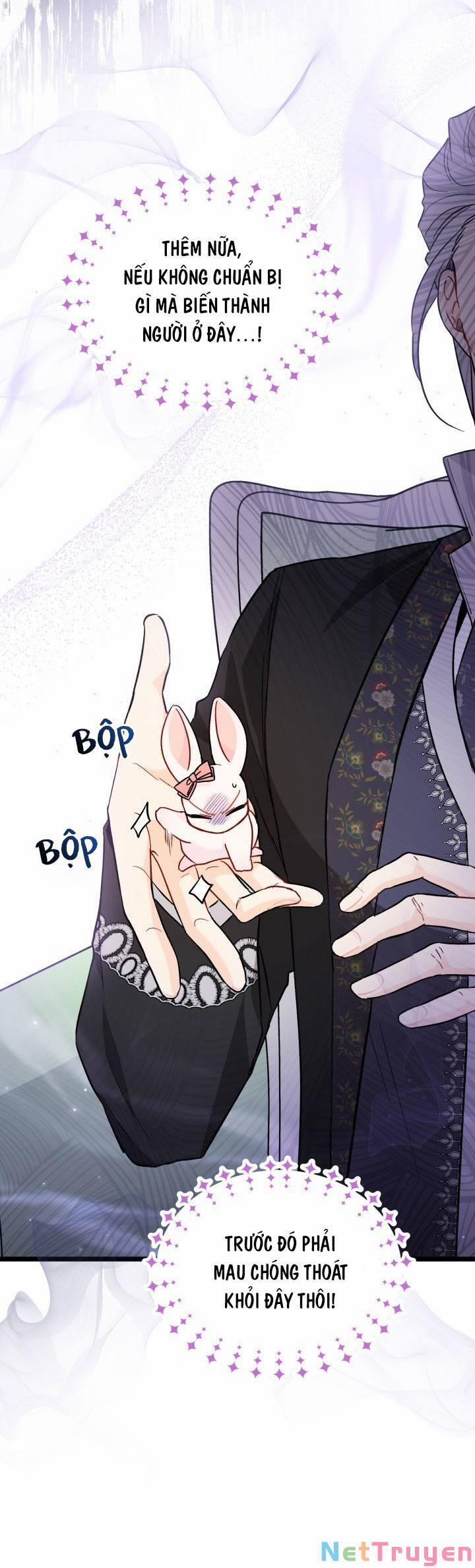 Quan Hệ Cộng Sinh Giữa Hắc Báo Và Bạch Thỏ 101 trang 4