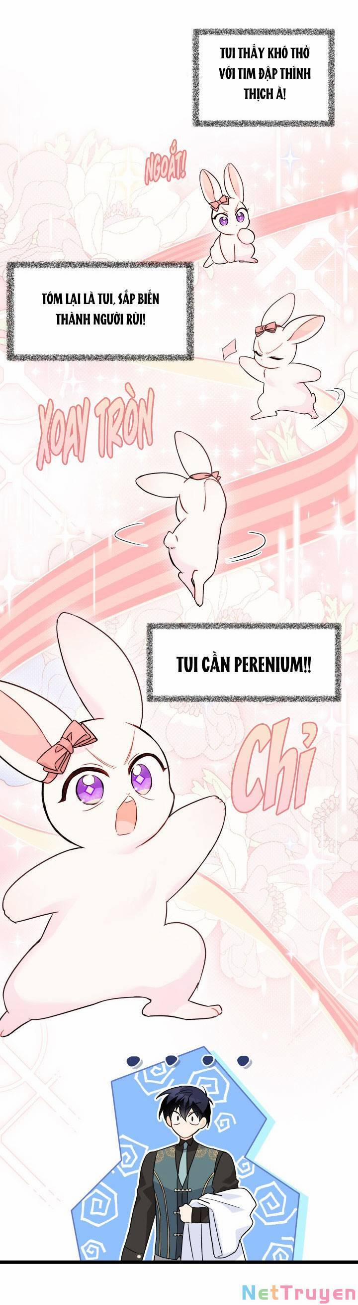 Quan Hệ Cộng Sinh Giữa Hắc Báo Và Bạch Thỏ 101 trang 50