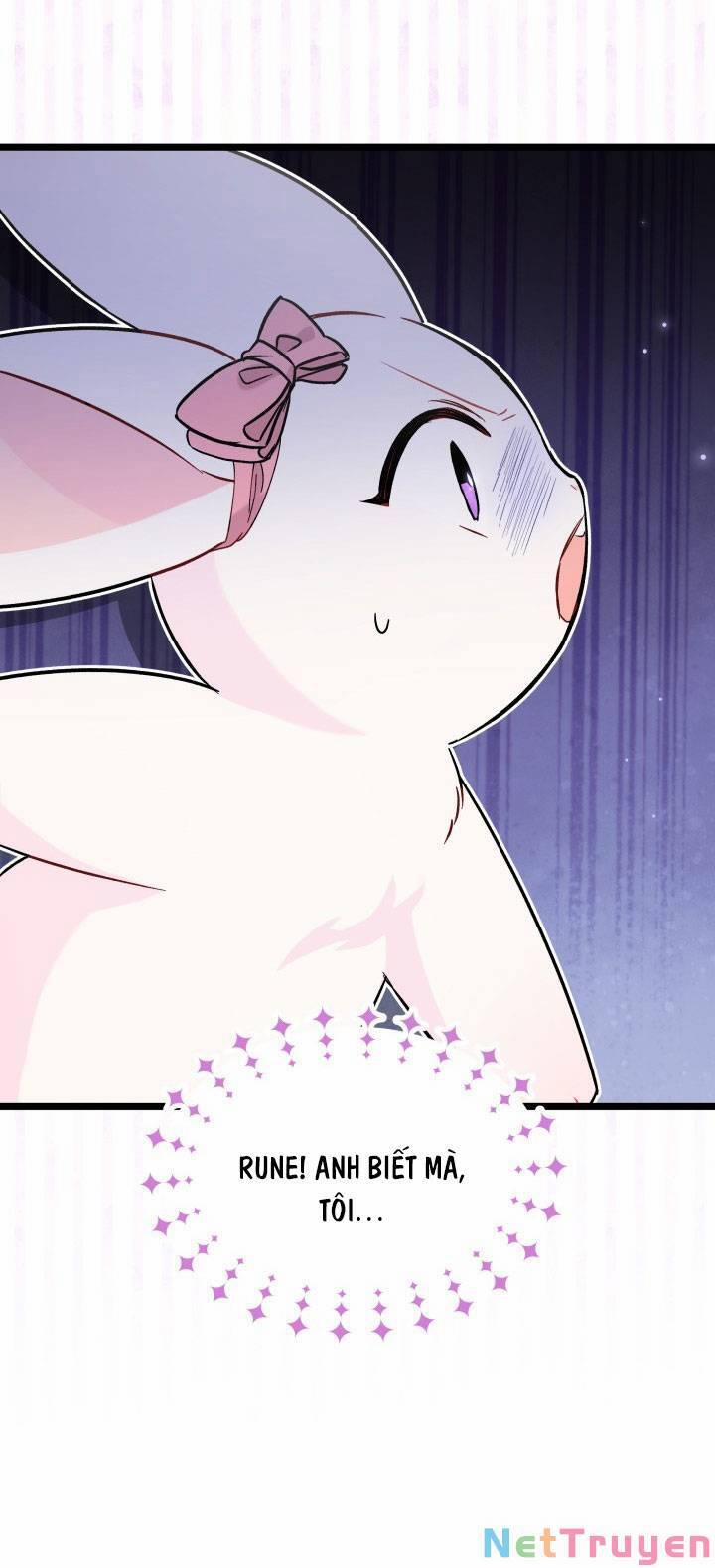 Quan Hệ Cộng Sinh Giữa Hắc Báo Và Bạch Thỏ 101 trang 8