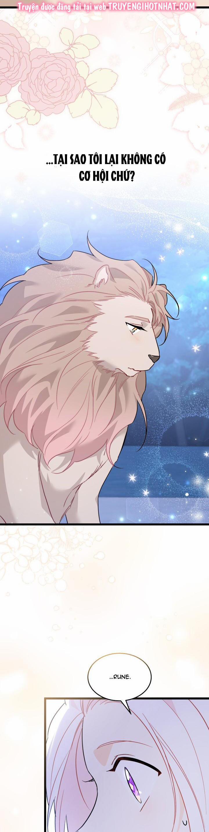 Quan Hệ Cộng Sinh Giữa Hắc Báo Và Bạch Thỏ 107 trang 11