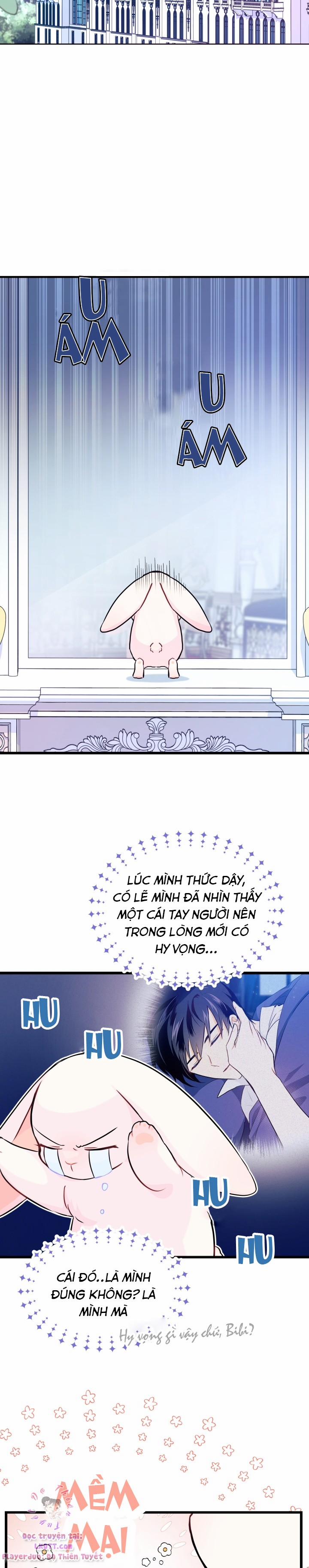 Quan Hệ Cộng Sinh Giữa Hắc Báo Và Bạch Thỏ 11 trang 16