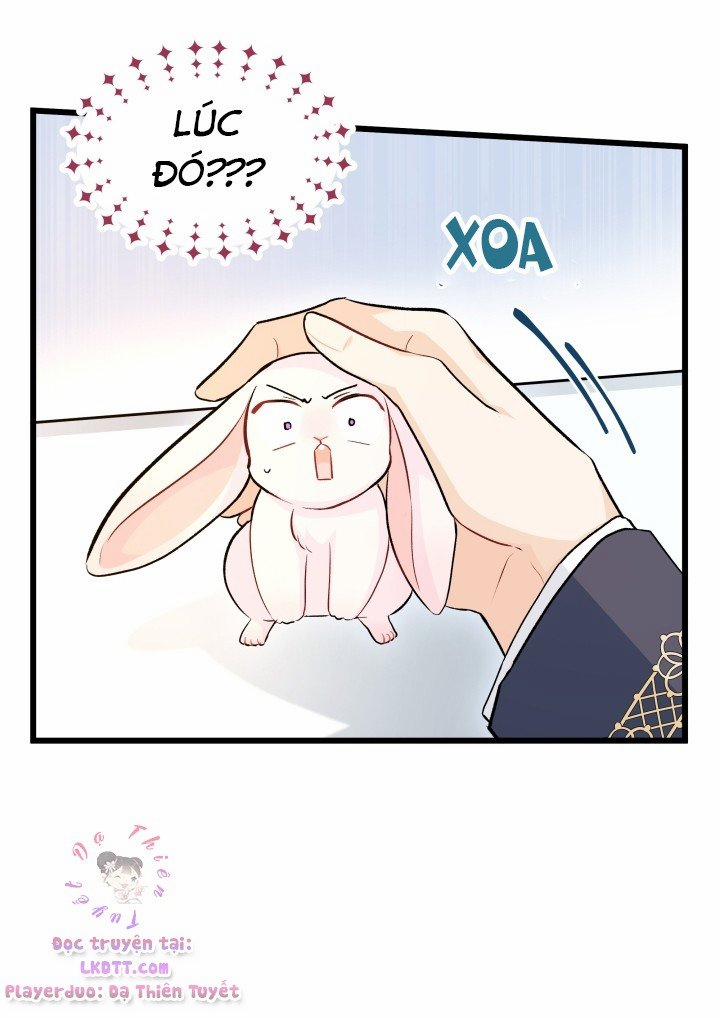 Quan Hệ Cộng Sinh Giữa Hắc Báo Và Bạch Thỏ 11 trang 35