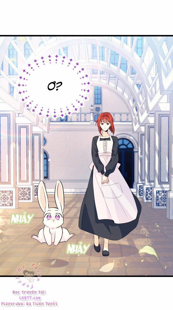 Quan Hệ Cộng Sinh Giữa Hắc Báo Và Bạch Thỏ 11 trang 40