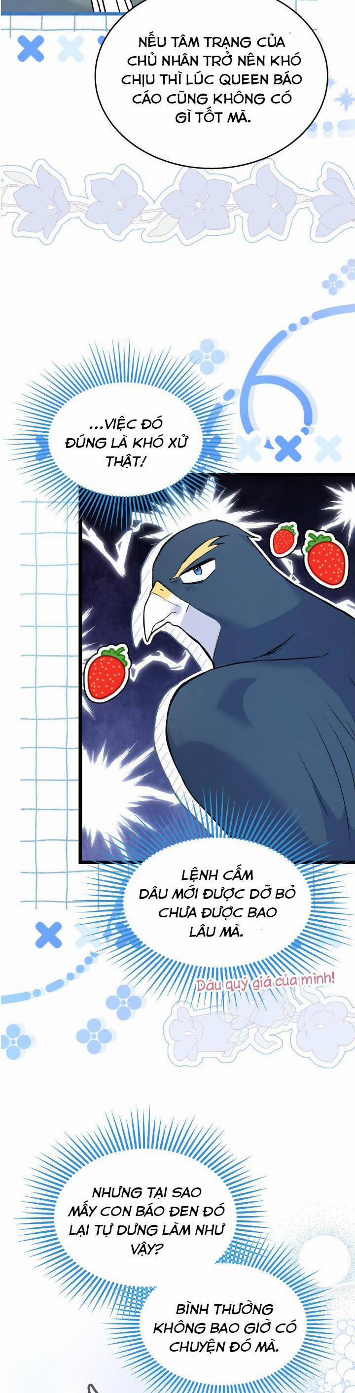 Quan Hệ Cộng Sinh Giữa Hắc Báo Và Bạch Thỏ 112 trang 11