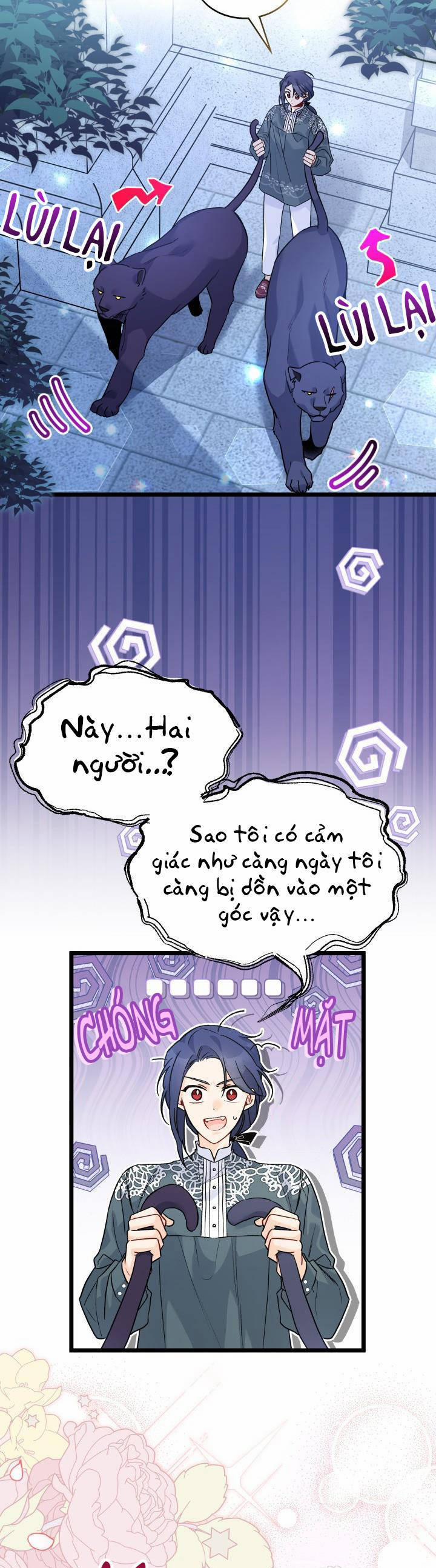 Quan Hệ Cộng Sinh Giữa Hắc Báo Và Bạch Thỏ 112 trang 5