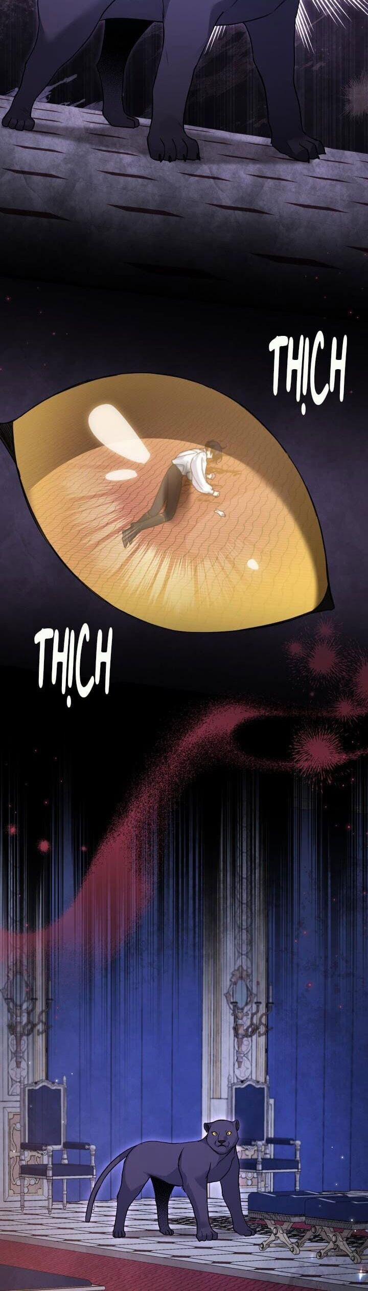 Quan Hệ Cộng Sinh Giữa Hắc Báo Và Bạch Thỏ 115 trang 19