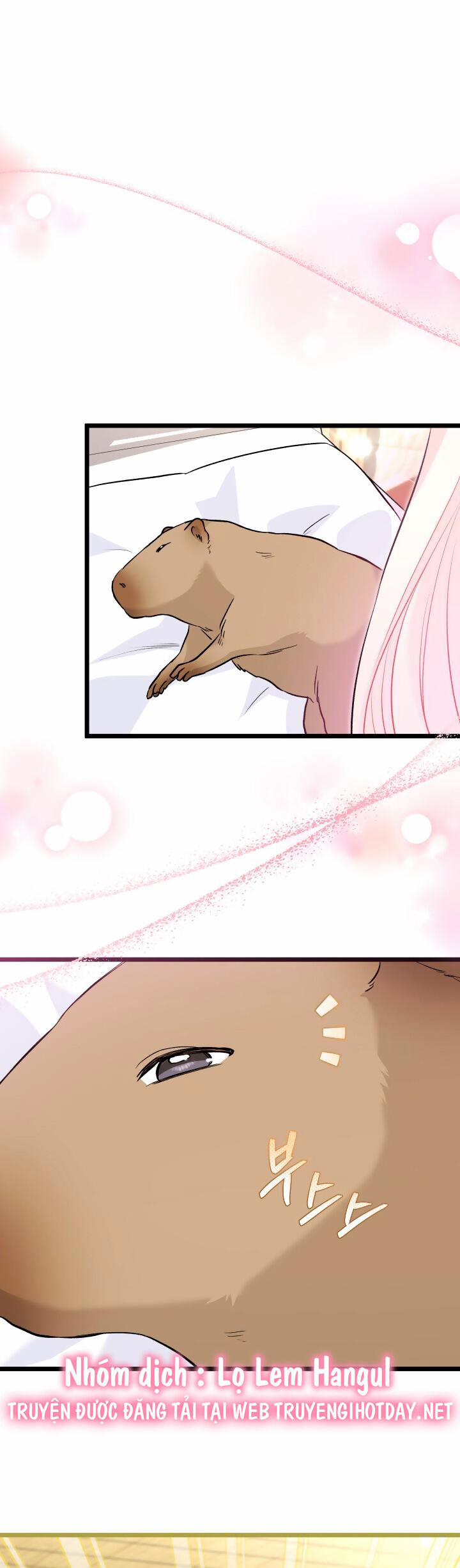 Quan Hệ Cộng Sinh Giữa Hắc Báo Và Bạch Thỏ 123 trang 20