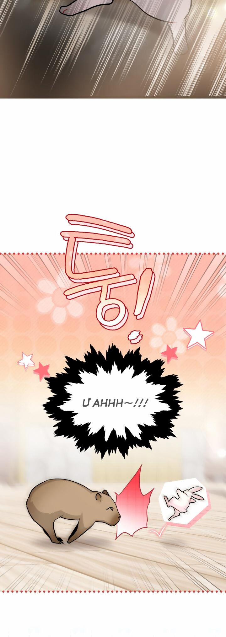 Quan Hệ Cộng Sinh Giữa Hắc Báo Và Bạch Thỏ 123 trang 45