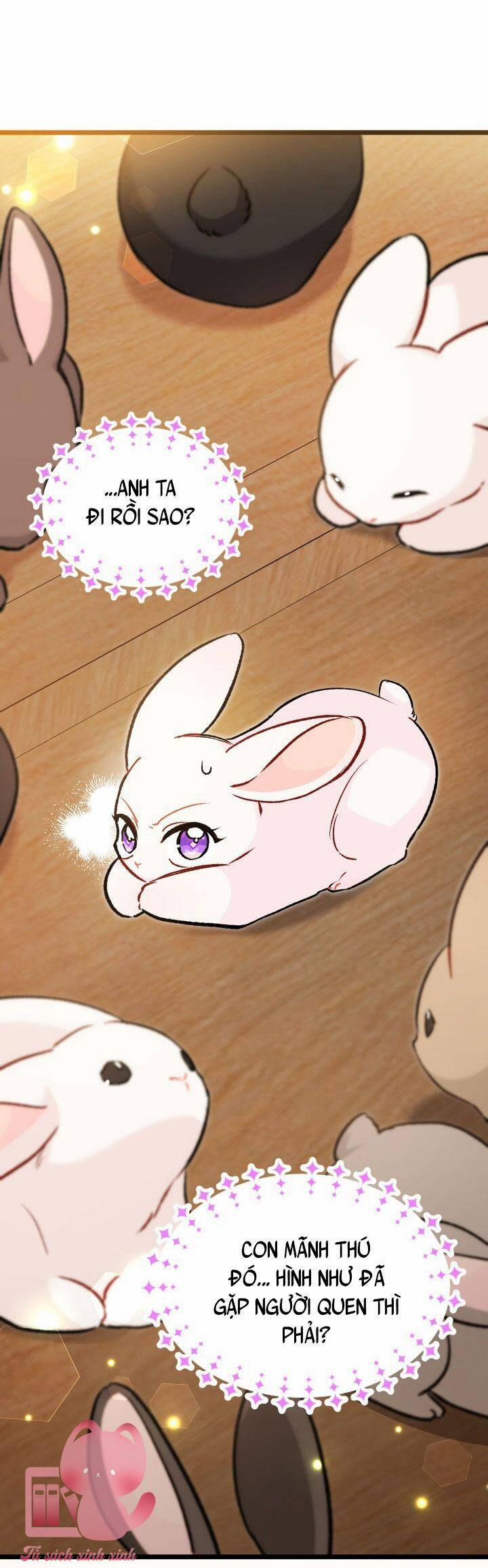 Quan Hệ Cộng Sinh Giữa Hắc Báo Và Bạch Thỏ 127 trang 52