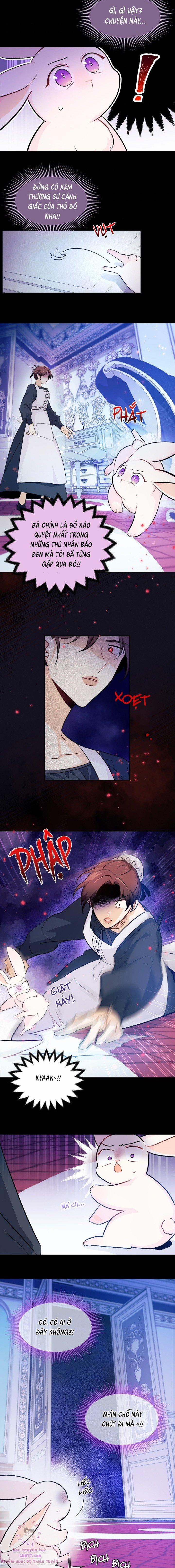 Quan Hệ Cộng Sinh Giữa Hắc Báo Và Bạch Thỏ 13 trang 16