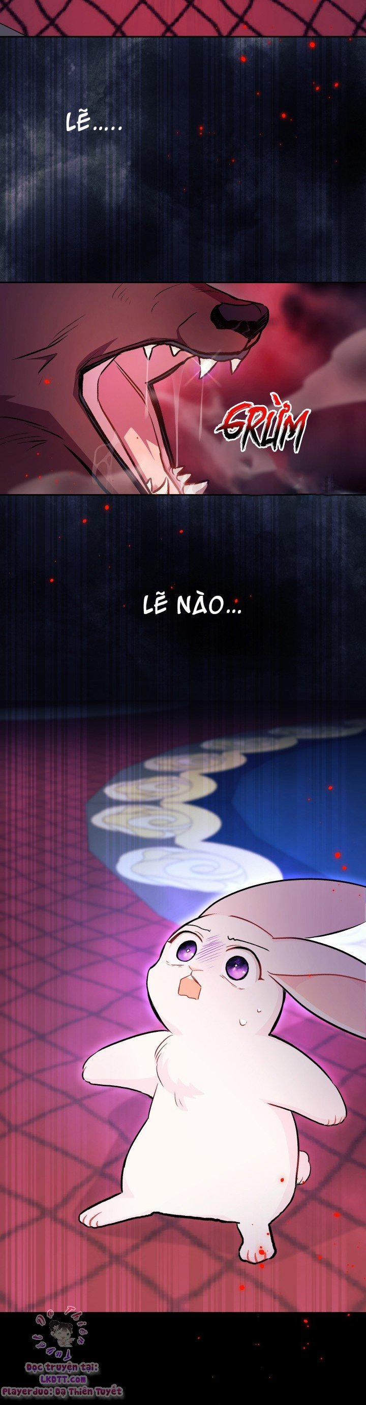 Quan Hệ Cộng Sinh Giữa Hắc Báo Và Bạch Thỏ 13 trang 20