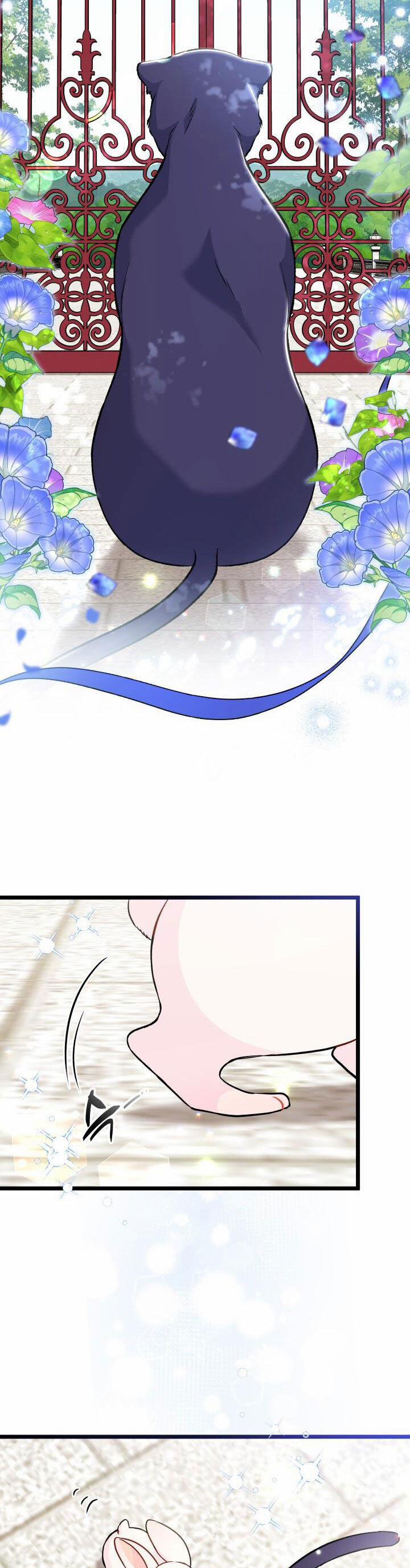 Quan Hệ Cộng Sinh Giữa Hắc Báo Và Bạch Thỏ 134 trang 29