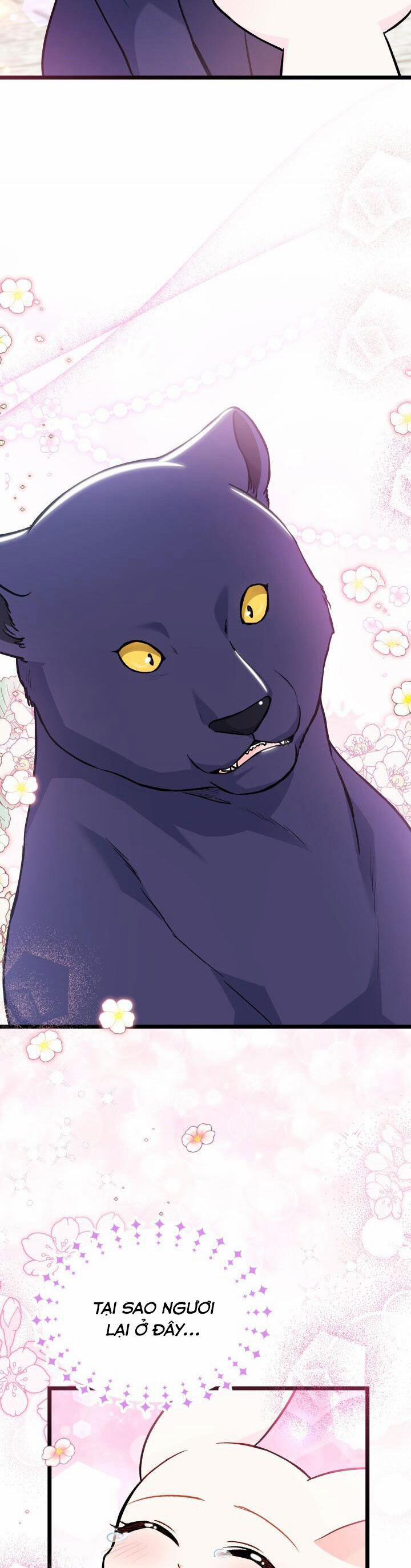 Quan Hệ Cộng Sinh Giữa Hắc Báo Và Bạch Thỏ 134 trang 33