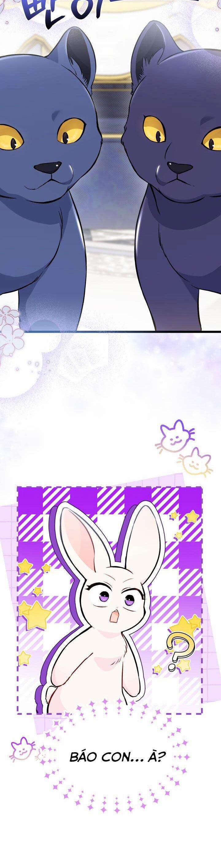 Quan Hệ Cộng Sinh Giữa Hắc Báo Và Bạch Thỏ 134 trang 5