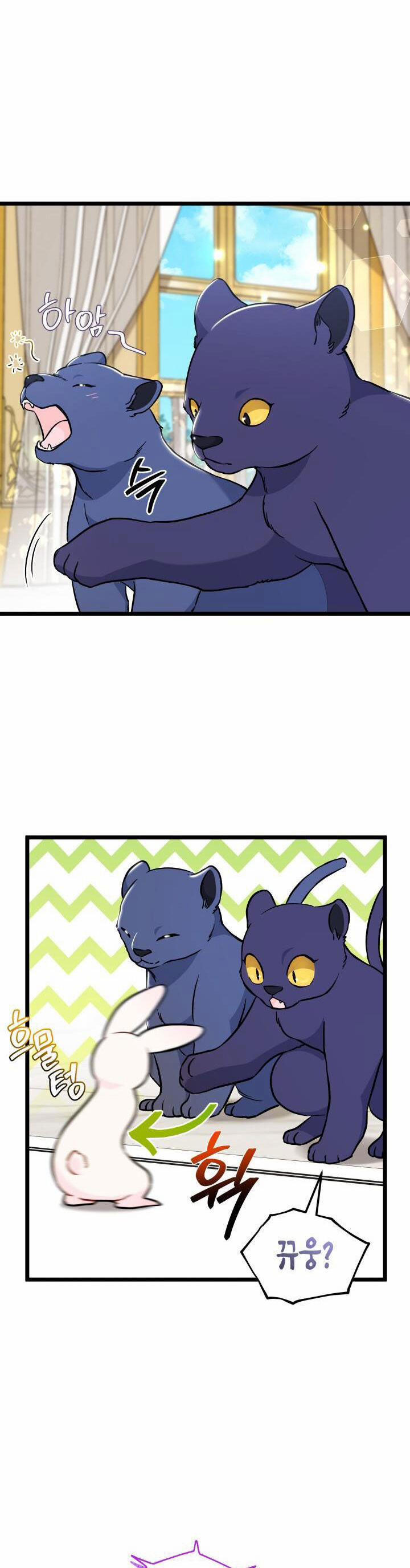 Quan Hệ Cộng Sinh Giữa Hắc Báo Và Bạch Thỏ 134 trang 9