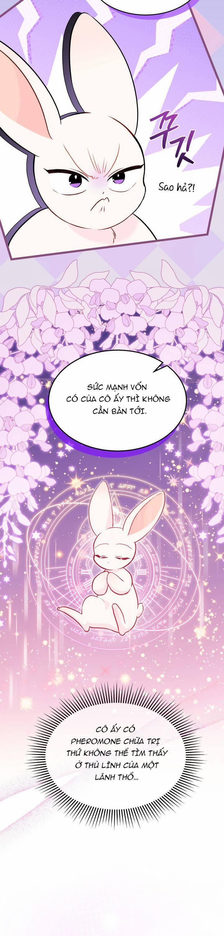 Quan Hệ Cộng Sinh Giữa Hắc Báo Và Bạch Thỏ 136 trang 25