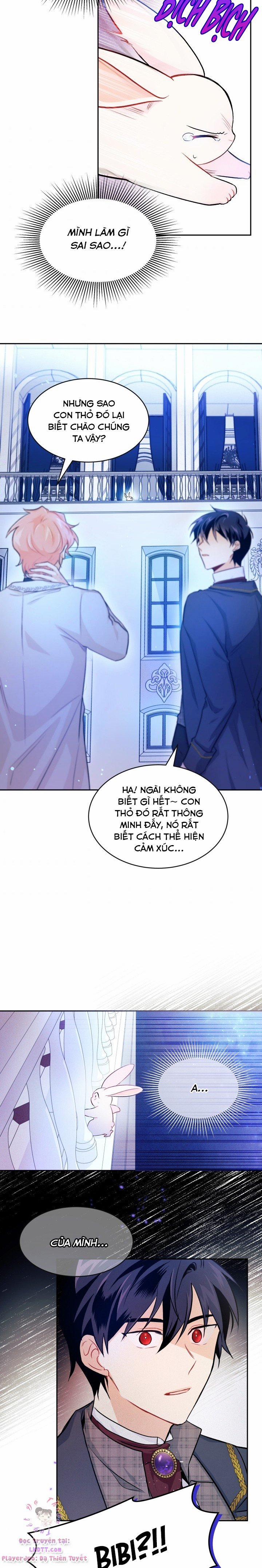 Quan Hệ Cộng Sinh Giữa Hắc Báo Và Bạch Thỏ 14 trang 15