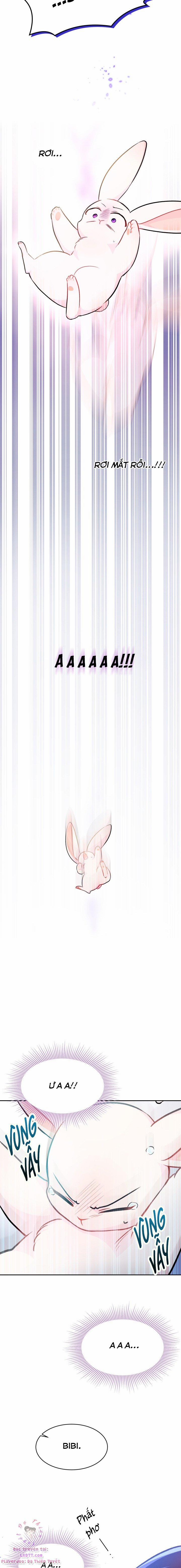 Quan Hệ Cộng Sinh Giữa Hắc Báo Và Bạch Thỏ 14 trang 16