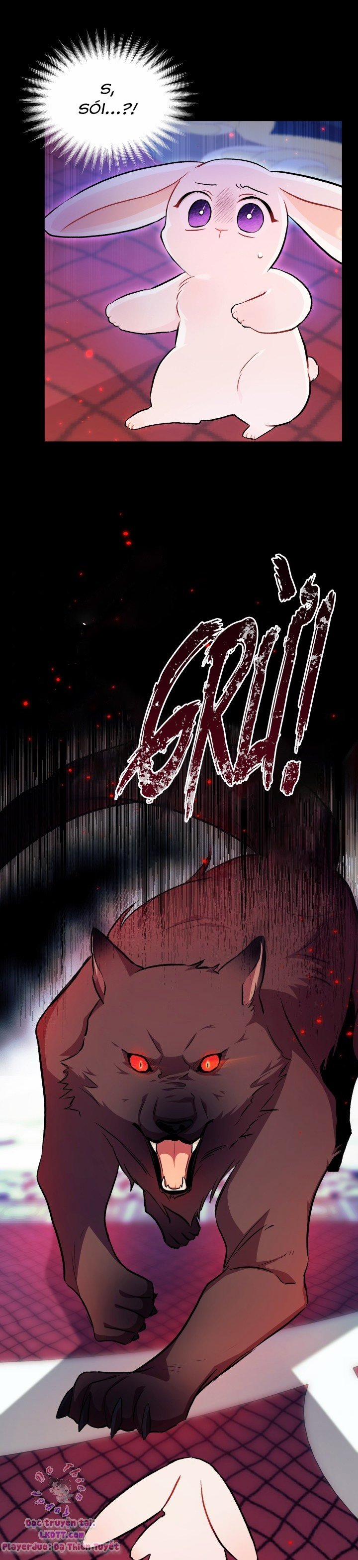 Quan Hệ Cộng Sinh Giữa Hắc Báo Và Bạch Thỏ 14 trang 3