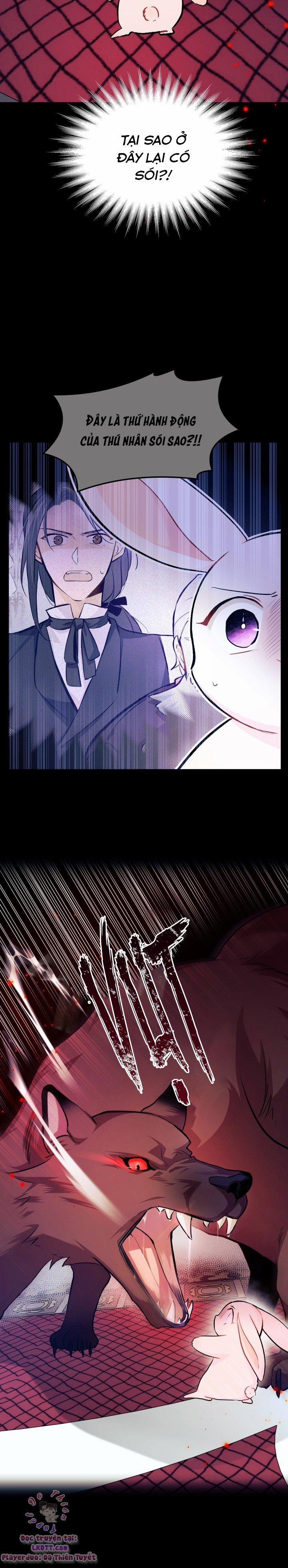 Quan Hệ Cộng Sinh Giữa Hắc Báo Và Bạch Thỏ 14 trang 4