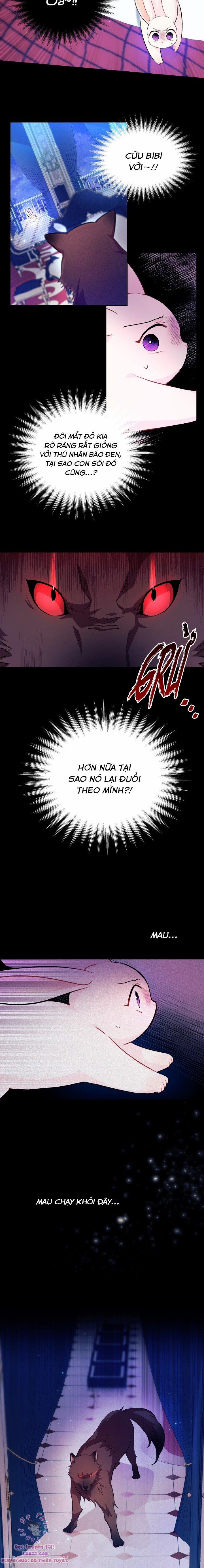 Quan Hệ Cộng Sinh Giữa Hắc Báo Và Bạch Thỏ 14 trang 6