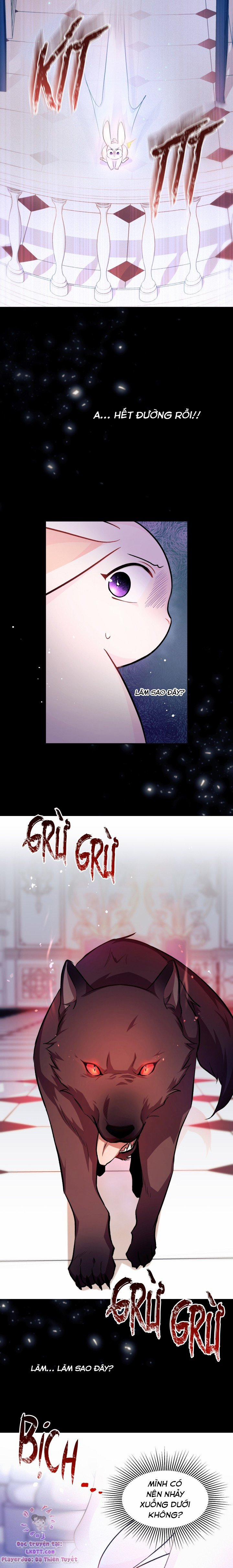 Quan Hệ Cộng Sinh Giữa Hắc Báo Và Bạch Thỏ 14 trang 7