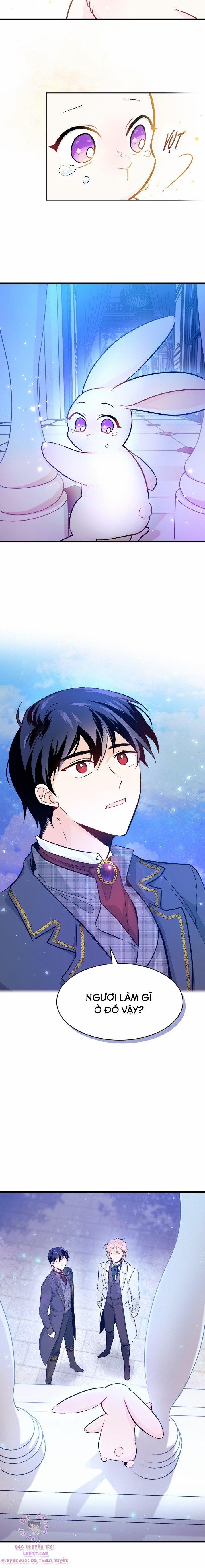 Quan Hệ Cộng Sinh Giữa Hắc Báo Và Bạch Thỏ 14 trang 9