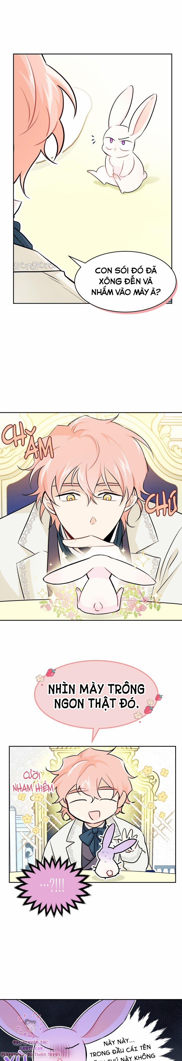 Quan Hệ Cộng Sinh Giữa Hắc Báo Và Bạch Thỏ 15 trang 11