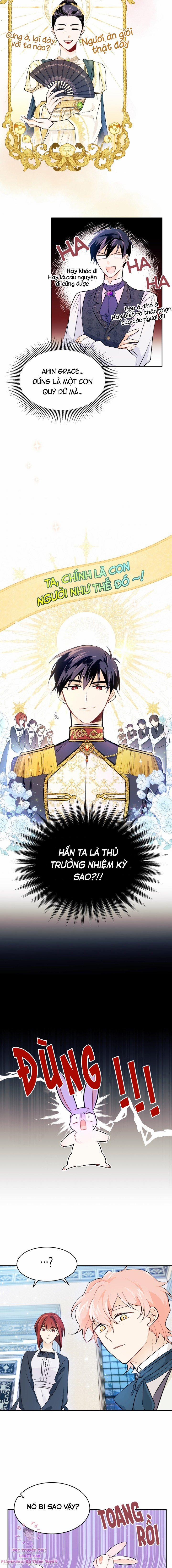 Quan Hệ Cộng Sinh Giữa Hắc Báo Và Bạch Thỏ 15 trang 16