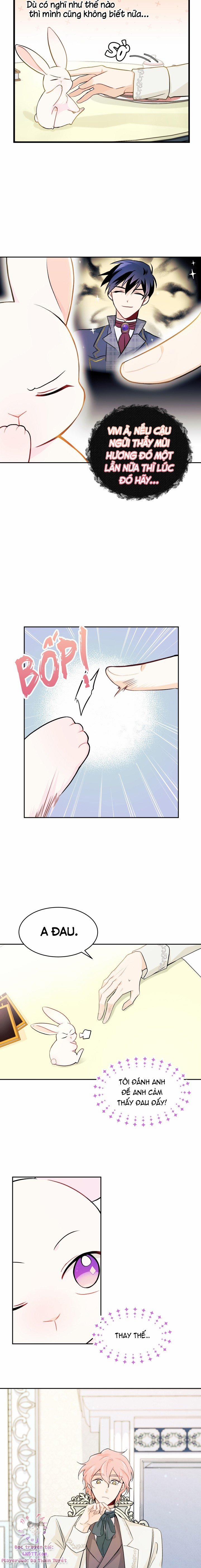 Quan Hệ Cộng Sinh Giữa Hắc Báo Và Bạch Thỏ 15 trang 6