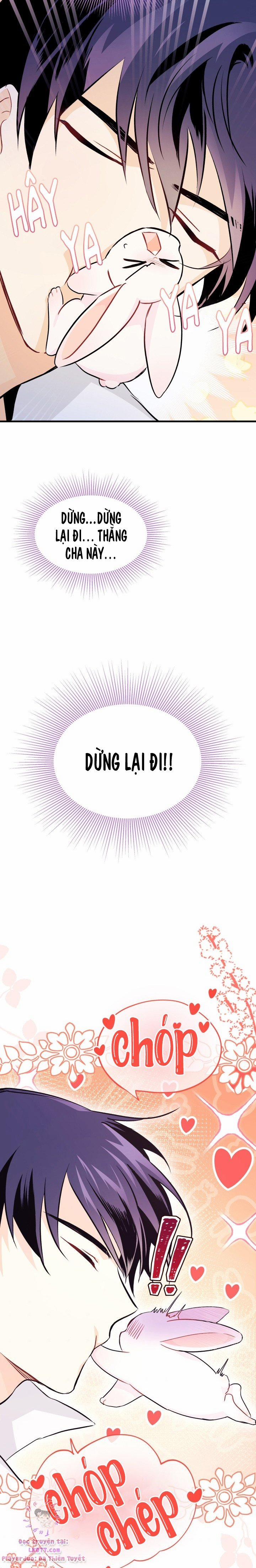 Quan Hệ Cộng Sinh Giữa Hắc Báo Và Bạch Thỏ 16 trang 16