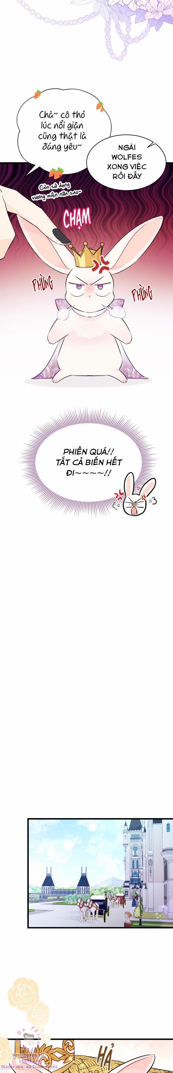 Quan Hệ Cộng Sinh Giữa Hắc Báo Và Bạch Thỏ 17 trang 14