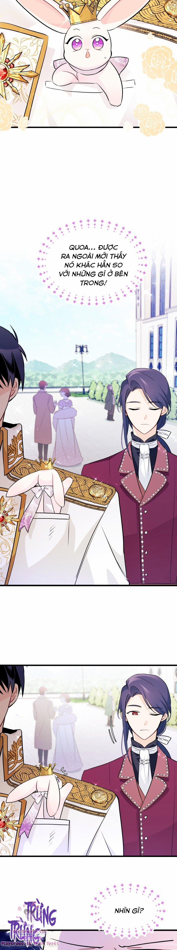 Quan Hệ Cộng Sinh Giữa Hắc Báo Và Bạch Thỏ 17 trang 15