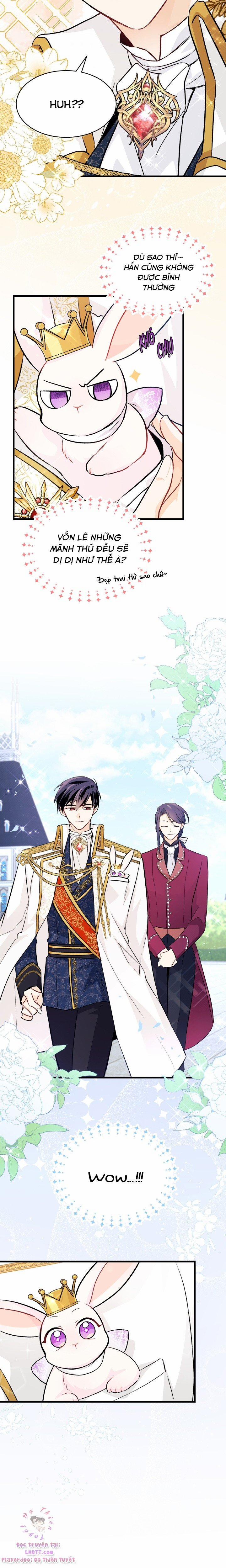 Quan Hệ Cộng Sinh Giữa Hắc Báo Và Bạch Thỏ 17 trang 17