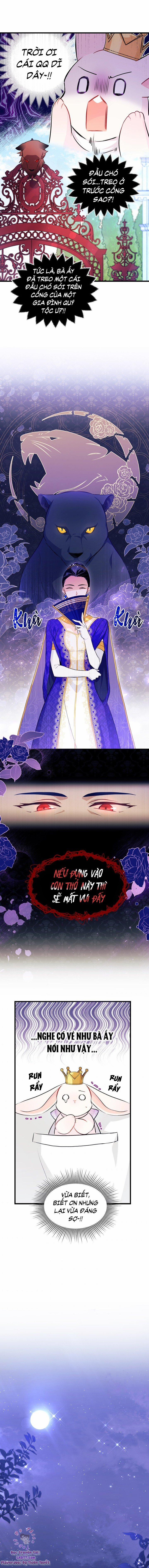 Quan Hệ Cộng Sinh Giữa Hắc Báo Và Bạch Thỏ 18 trang 11