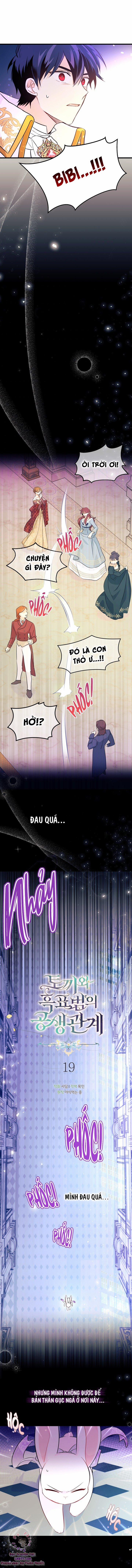 Quan Hệ Cộng Sinh Giữa Hắc Báo Và Bạch Thỏ 19 trang 2