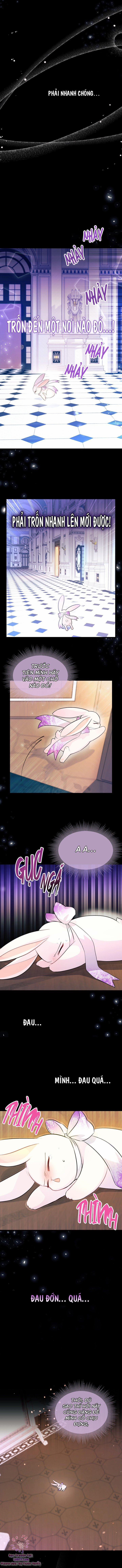 Quan Hệ Cộng Sinh Giữa Hắc Báo Và Bạch Thỏ 19 trang 3